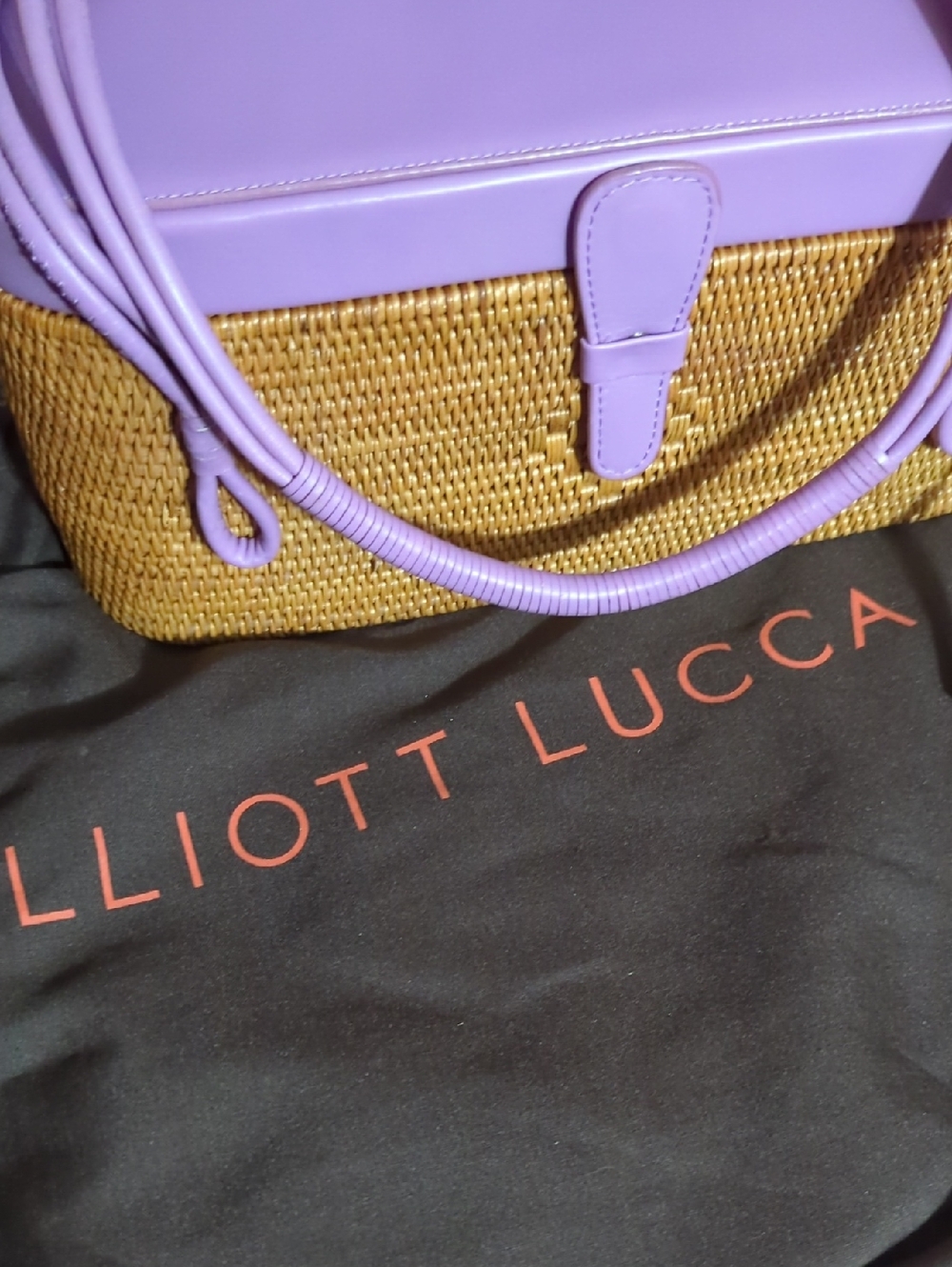 Elliot Lucca Bag